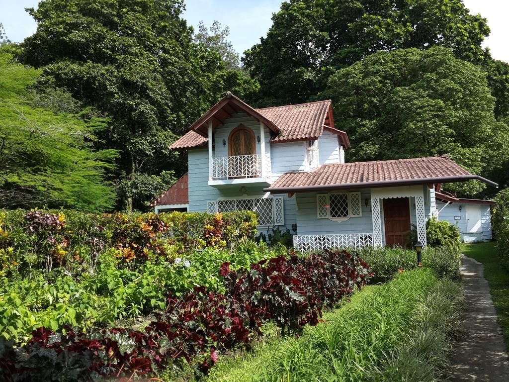 Park Eden Bed&Breakfast Los Llanitos Rum bild