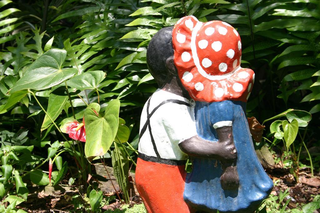 Park Eden Bed&Breakfast Los Llanitos Rum bild
